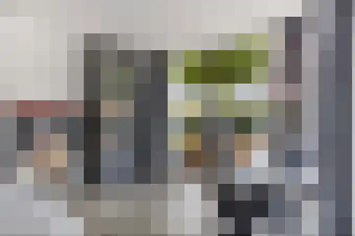 Schoolpad 6 Schagen thumbnail 12
