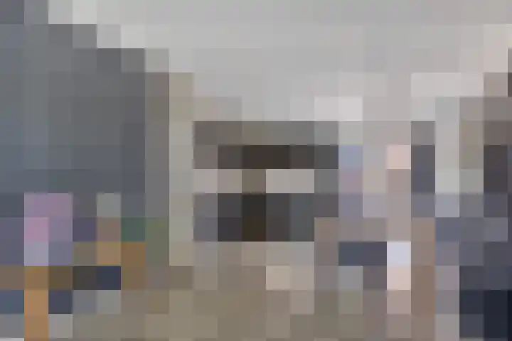 Schoolpad 6 Schagen thumbnail 19