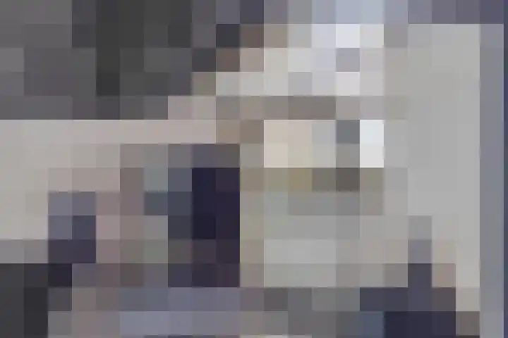 Schoolpad 6 Schagen thumbnail 28