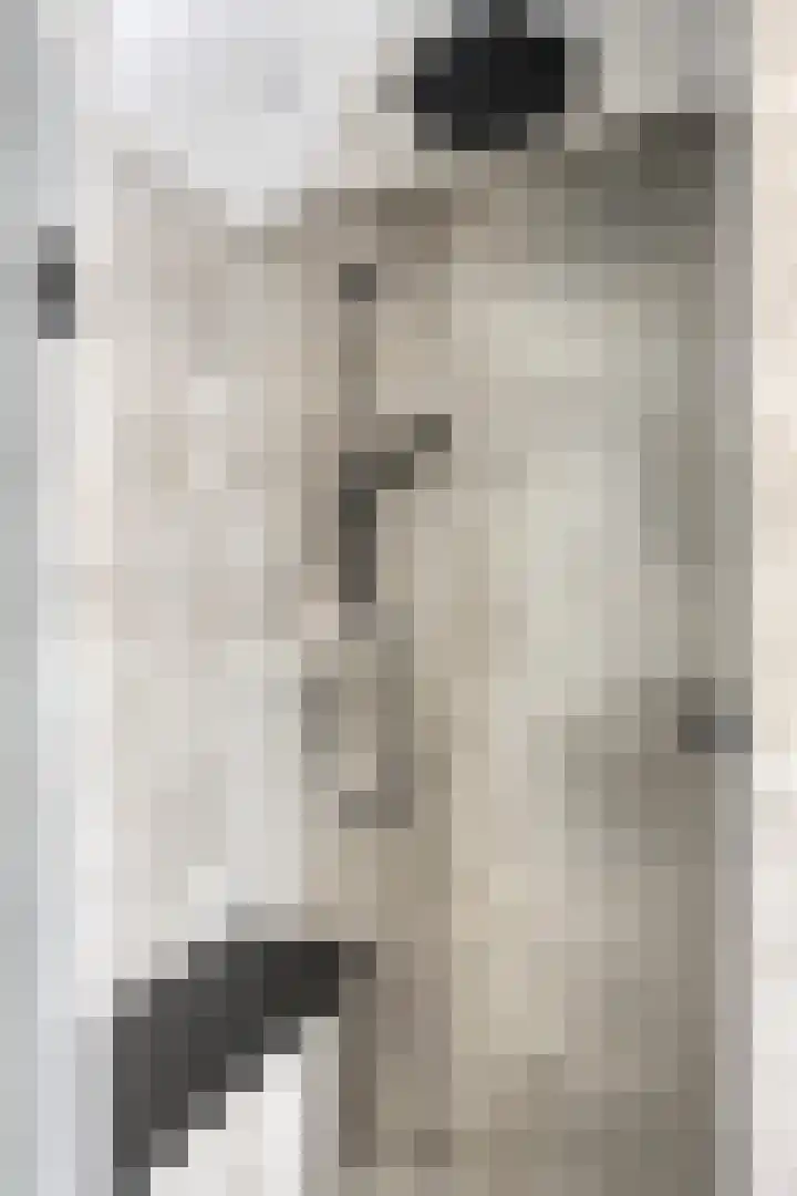 Schoolpad 6 Schagen thumbnail 38