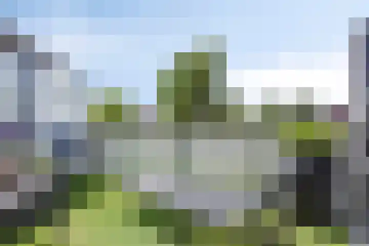Schoolpad 6 Schagen thumbnail 4