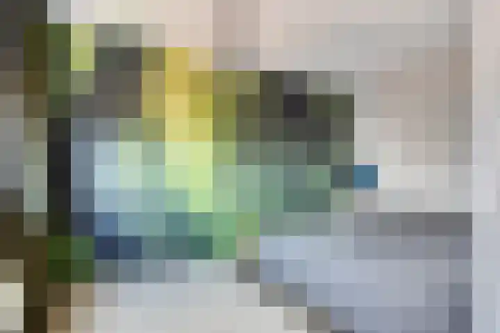 Schoolpad 6 Schagen thumbnail 40