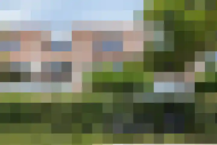 Schoolpad 6 Schagen thumbnail 6