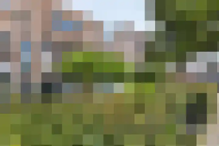 Schoolpad 6 Schagen thumbnail 7