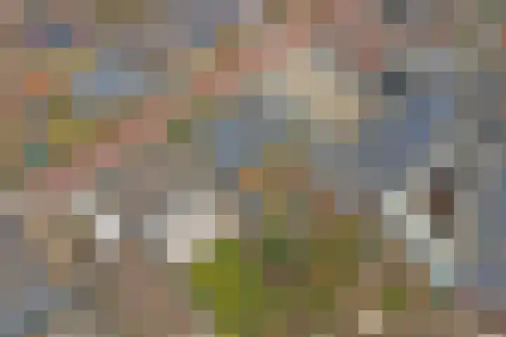 Schoolpad 7 Ermelo thumbnail 38