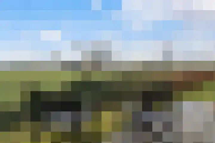 Schoolpad 9 Noordscheschut thumbnail 34