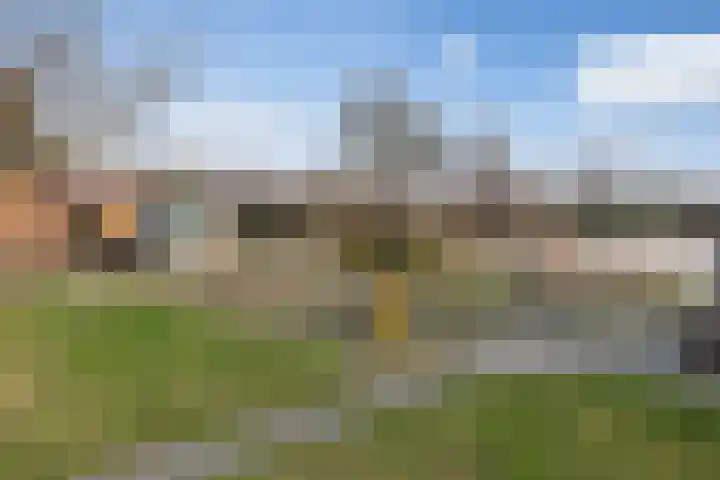 Schoolpad 9 Noordscheschut thumbnail 37