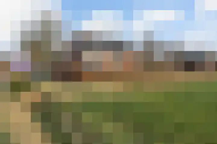 Schoolpad 9 Noordscheschut thumbnail 48
