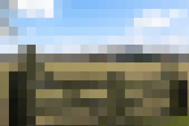 Schoolpad 9 Noordscheschut thumbnail 49