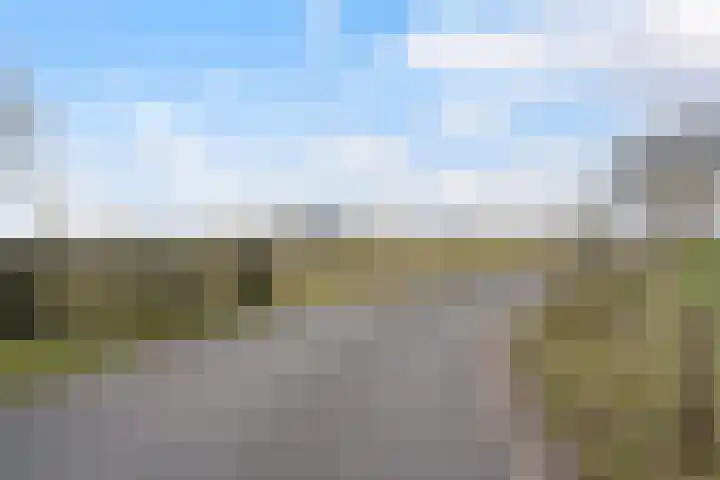 Schoolpad 9 Noordscheschut thumbnail 50