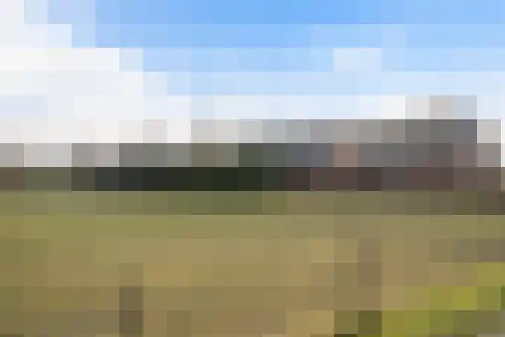 Schoolpad 9 Noordscheschut thumbnail 52