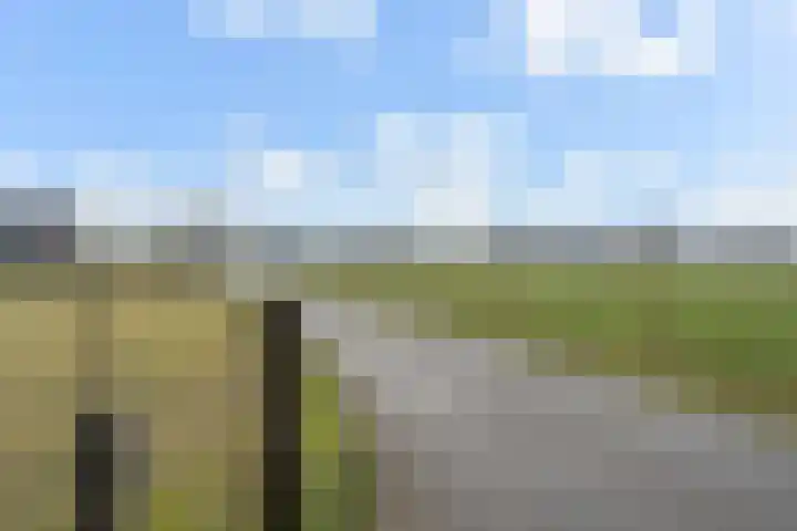 Schoolpad 9 Noordscheschut thumbnail 53