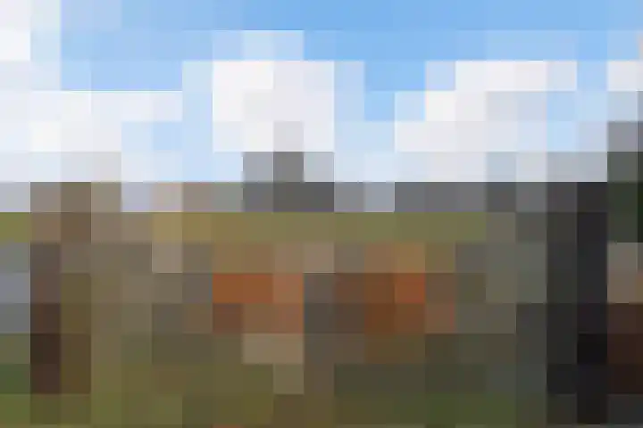 Schoolpad 9 Noordscheschut thumbnail 56