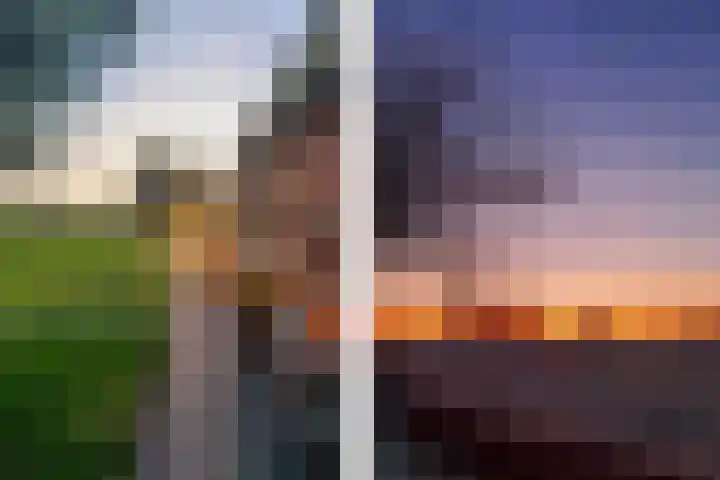 Schoolpad 9 Noordscheschut thumbnail 65
