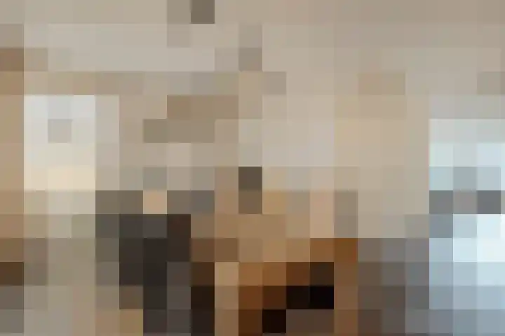 Schoolsticht 35 Dongen thumbnail 12
