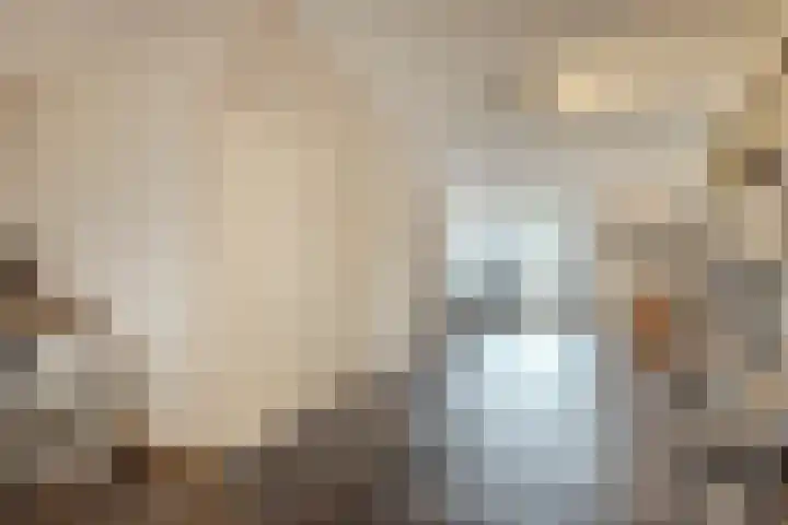 Schoolsticht 35 Dongen thumbnail 13