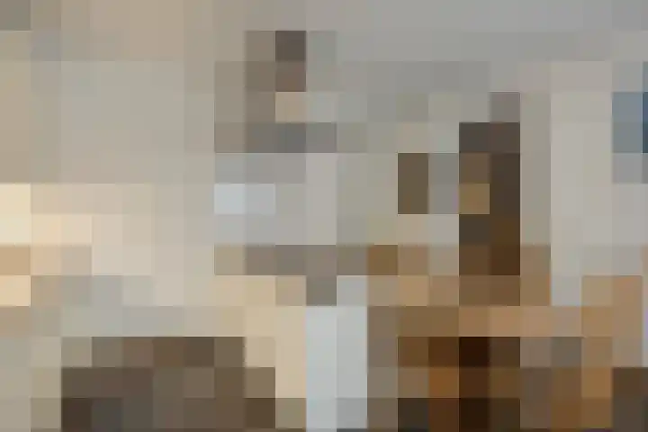 Schoolsticht 35 Dongen thumbnail 17