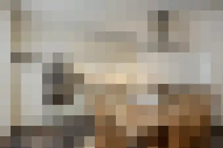 Schoolsticht 35 Dongen thumbnail 18