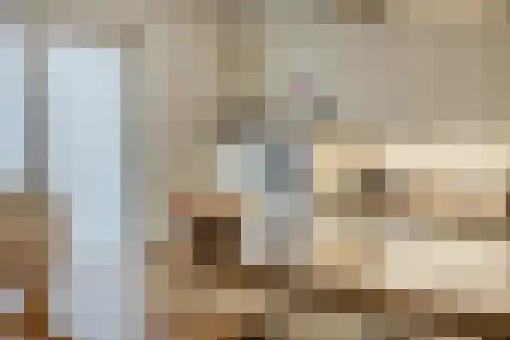Schoolsticht 35 Dongen thumbnail 19