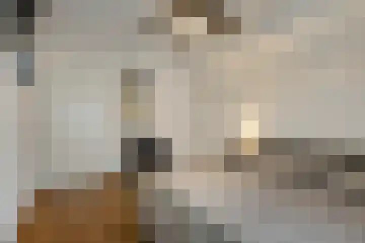 Schoolsticht 35 Dongen thumbnail 28