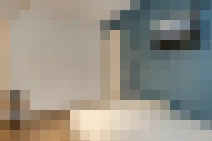 Schoolsticht 35 Dongen thumbnail 30