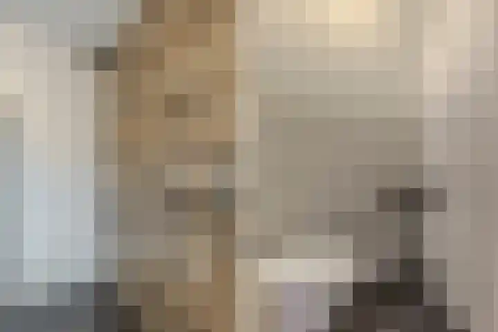 Schoolsticht 35 Dongen thumbnail 35