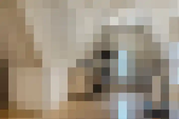Schoolsticht 35 Dongen thumbnail 37