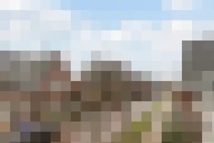 Schoolsticht 35 Dongen thumbnail 42