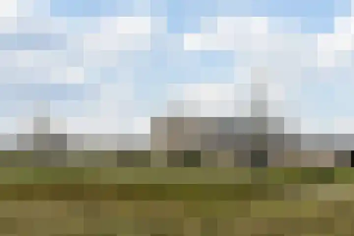 Schoolsticht 35 Dongen thumbnail 43