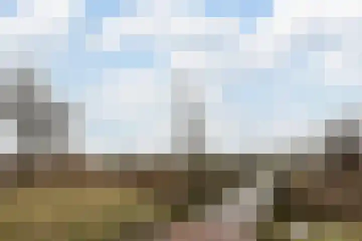 Schoolsticht 35 Dongen thumbnail 45