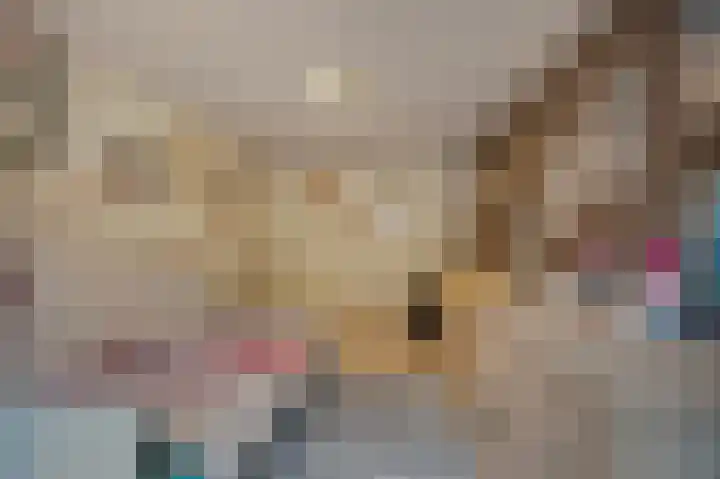 Schoolstraat 1 a Strijen thumbnail 27