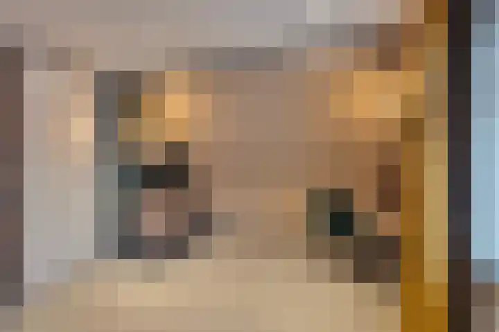 Schoolstraat 1 a Strijen thumbnail 33