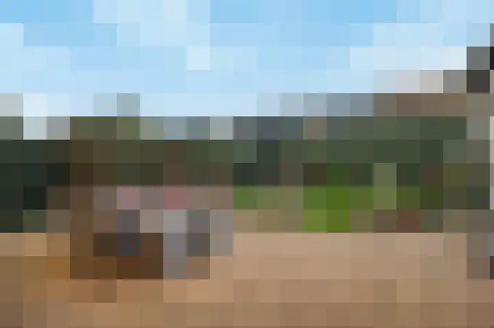 Schoolstraat 1 a Strijen thumbnail 45