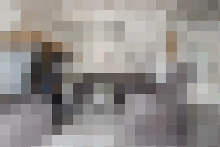 Schoolstraat 1 Rossum thumbnail 10