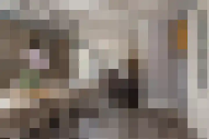 Schoolstraat 1 Rossum thumbnail 14