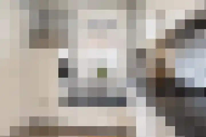 Schoolstraat 1 Rossum thumbnail 18