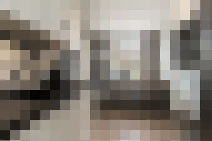 Schoolstraat 1 Rossum thumbnail 19