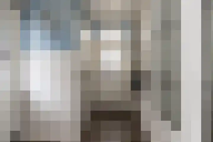 Schoolstraat 1 Rossum thumbnail 20