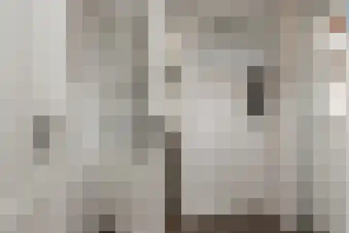 Schoolstraat 1 Rossum thumbnail 21