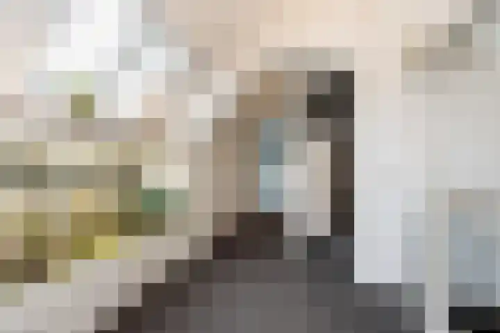 Schoolstraat 1 Rossum thumbnail 27