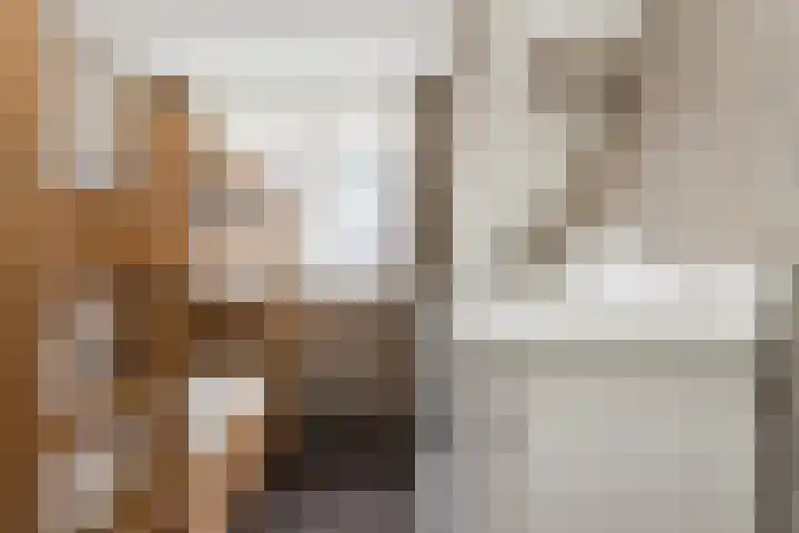 Schoolstraat 1 Rossum thumbnail 32