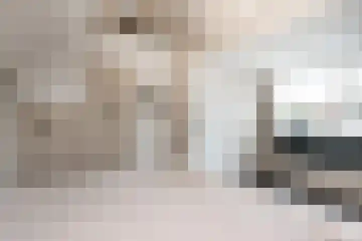 Schoolstraat 1 Rossum thumbnail 37