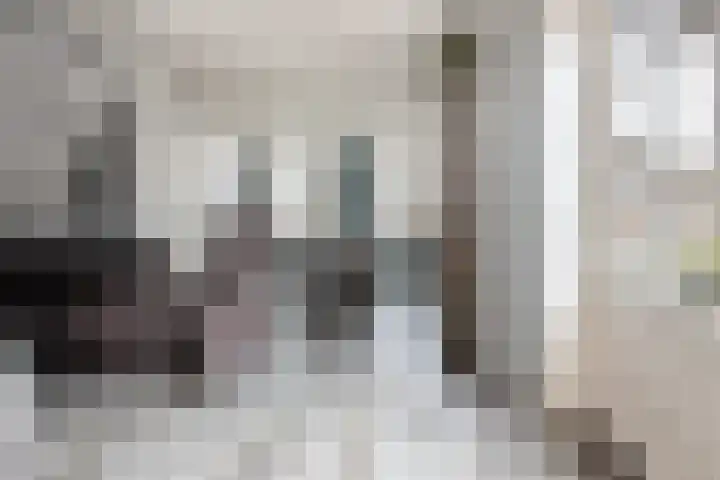 Schoolstraat 1 Rossum thumbnail 9