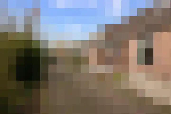 Schoolstraat 1 Sprang-Capelle thumbnail 35
