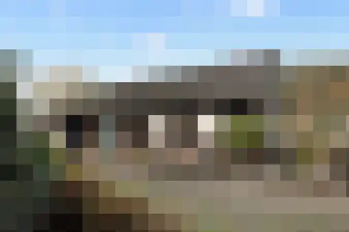 Schoolstraat 1 Sprang-Capelle thumbnail 4