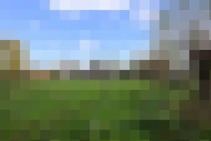 Schoolstraat 1 Sprang-Capelle thumbnail 42