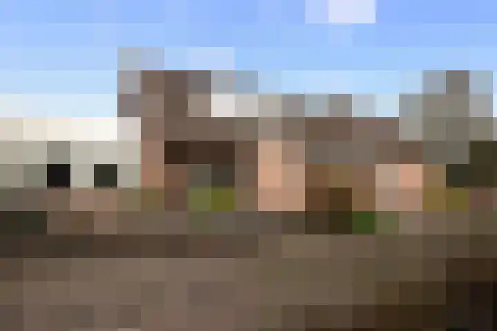 Schoolstraat 1 Sprang-Capelle thumbnail 6