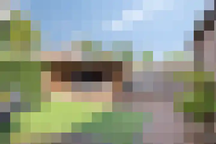Schoolstraat 10 Zeeland thumbnail 35