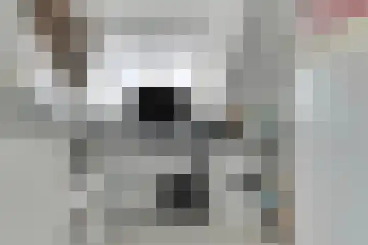Schoolstraat 12 Strijen thumbnail 18