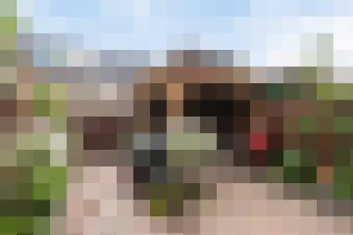Schoolstraat 12 Strijen thumbnail 21
